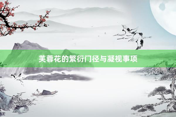 芙蓉花的繁衍门径与凝视事项