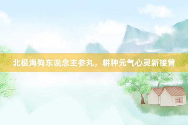 北极海狗东说念主参丸，耕种元气心灵新接管
